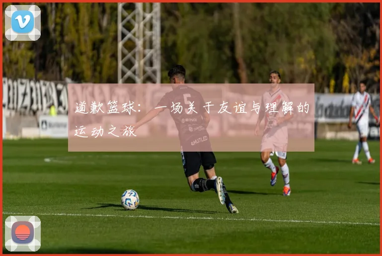 道歉篮球：一场关于友谊与理解的运动之旅