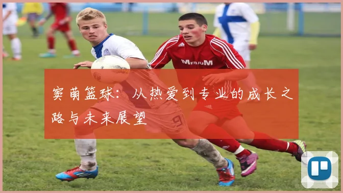 窦萌篮球：从热爱到专业的成长之路与未来展望