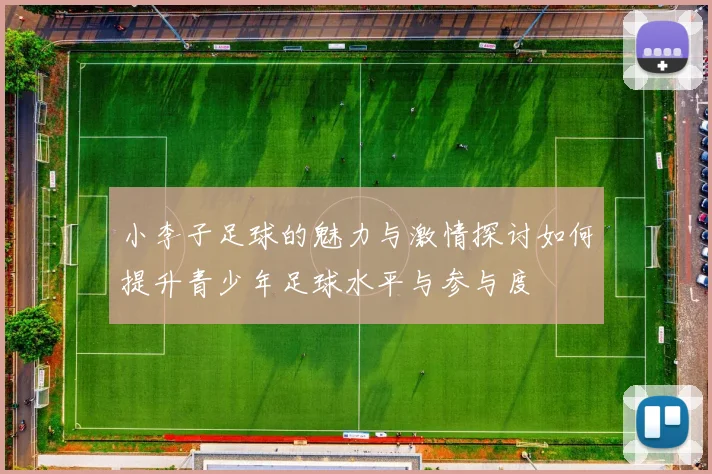 小李子足球的魅力与激情探讨如何提升青少年足球水平与参与度