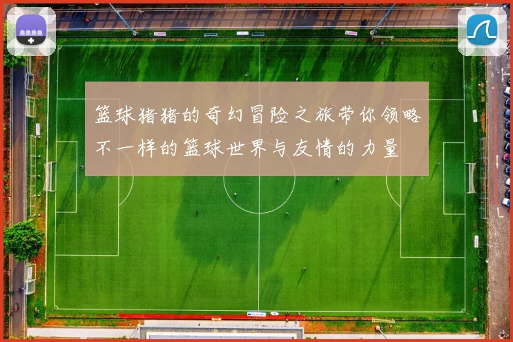 篮球猪猪的奇幻冒险之旅带你领略不一样的篮球世界与友情的力量