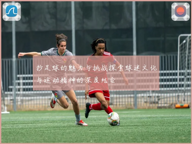 抄足球的魅力与挑战探索球迷文化与运动精神的深度结合